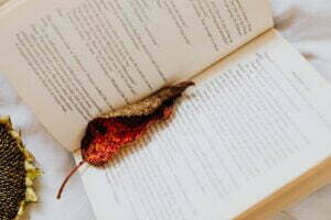 Bild mit Blatt - Kostenlose Bücher